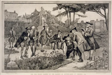Der alte Physic Garden der Society of Apothecaries in Chelsea, 1750, graviert von Thomas W. Lascelles, 1890